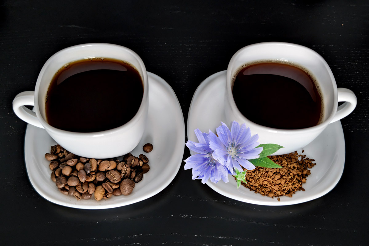Кофеин и антиоксиданты против инулина и минералов: сравнили пользу кофе и цикория