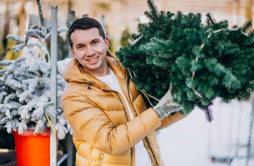 Что делать, чтобы елка не осыпалась и простояла долго