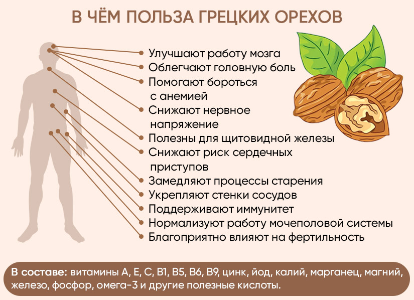 Полезные свойства грецкого ореха | Роскачество